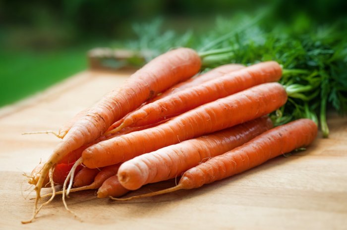 Закуп моркови с учетом хранения до мая-июня 2023 года